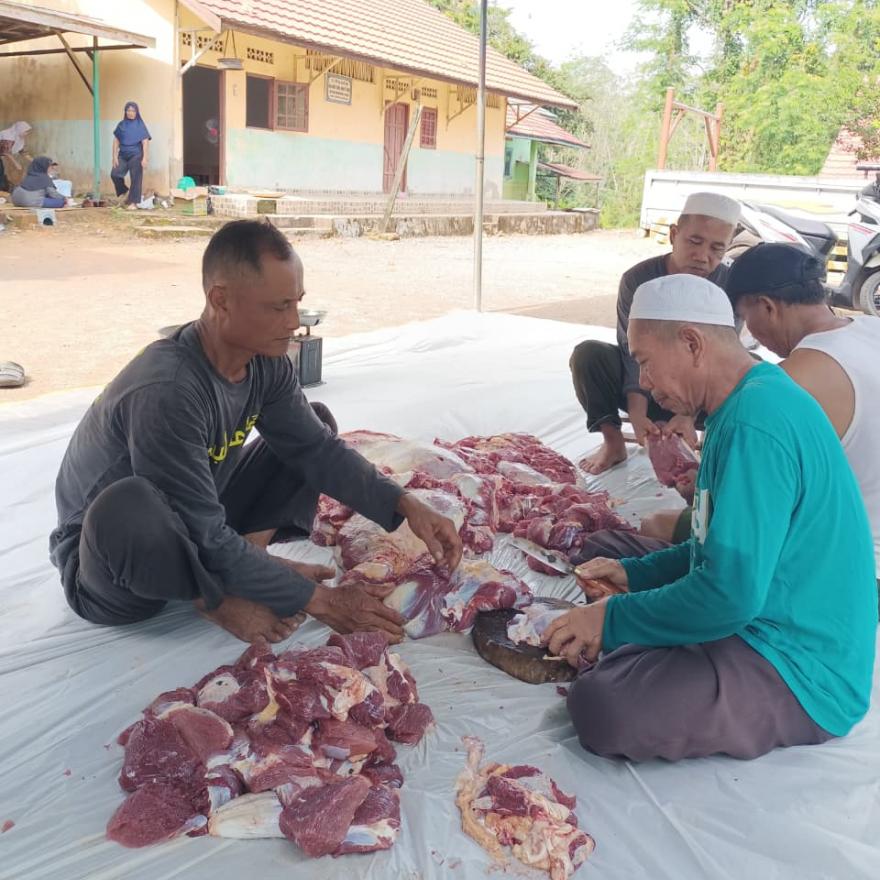 Panitia Qurban Masjid Al Mustaqim Desa Gunung Ulin Laksanakan Penyembelihan Hewan Qurban